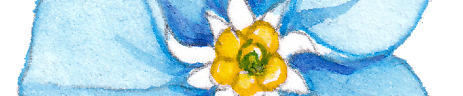 September Newsletter
