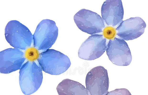 Tonbridge &amp; Tunbridge Wells Committees meeting notes